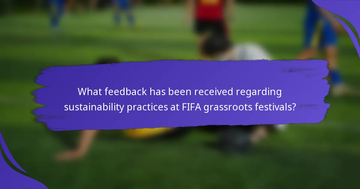 What feedback has been received regarding sustainability practices at FIFA grassroots festivals?
